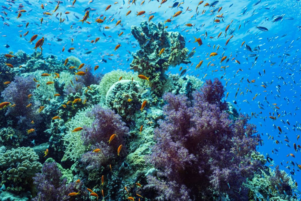 Best Bali Highlights Before Your Komodo Cruise