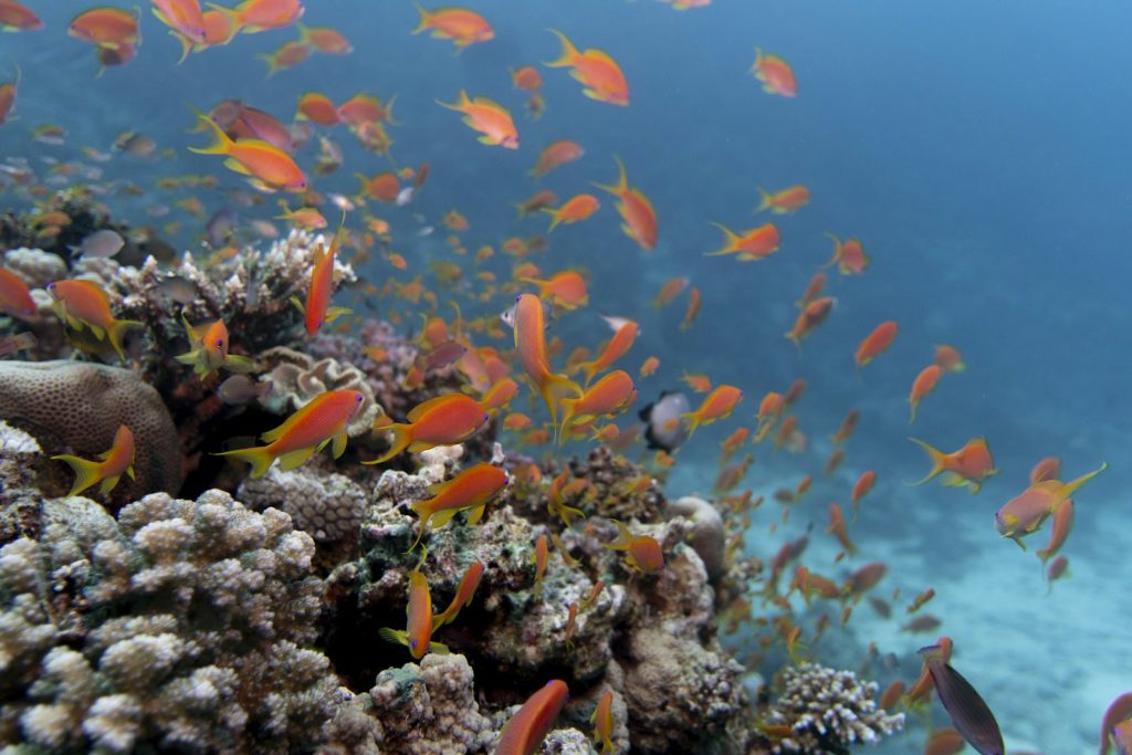 Planning a Bali + Komodo Family Trip