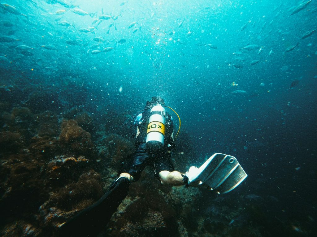 A Bali + Komodo Tour for Non-Divers