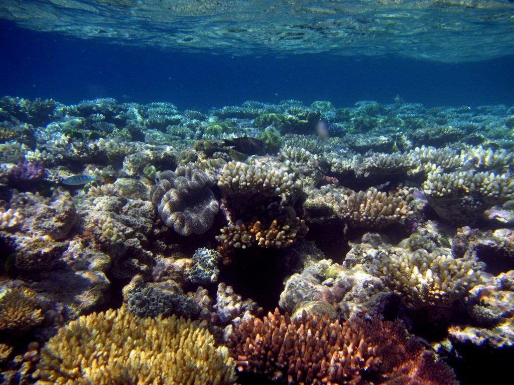 A Bali + Komodo Tour for Groups