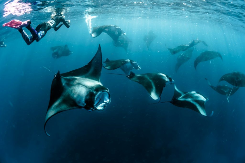 Planning a Bali + Komodo Honeymoon