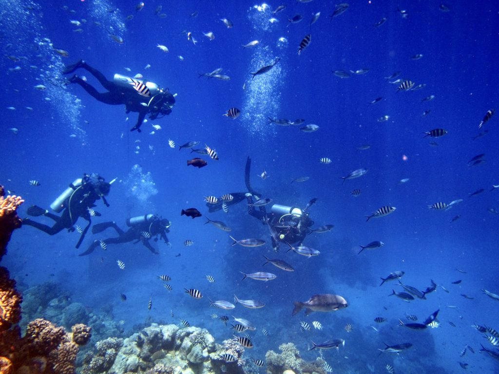 What’s Included in a Komodo Bali Tour